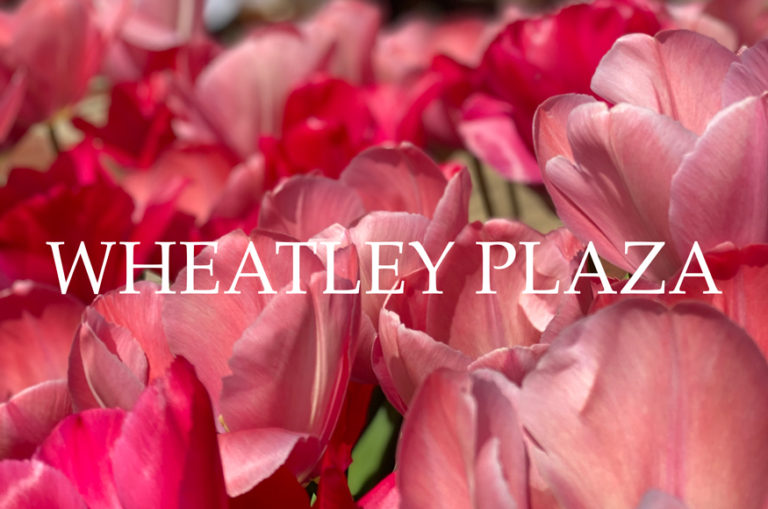 Wheatley Plaza Fashion, Jewelry, Beauty & Gifts Long Island